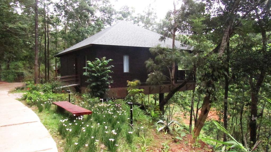 The Ibnii - Eco Luxury Resort 마디케리 외부 사진