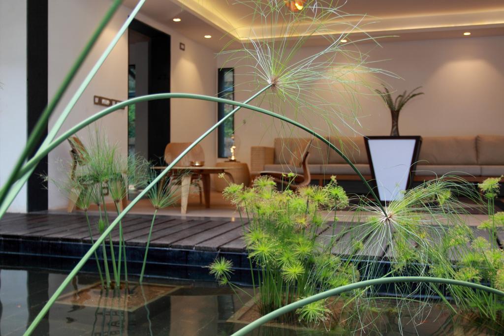 The Ibnii - Eco Luxury Resort 마디케리 외부 사진